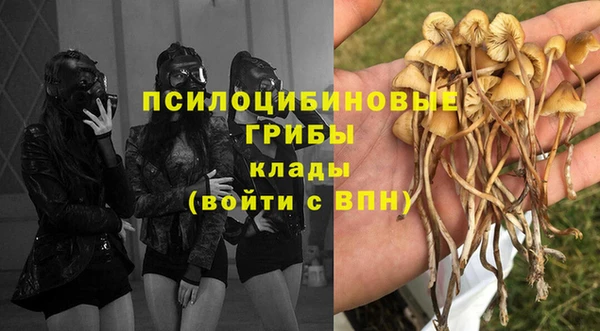 мяу мяу мука Алзамай
