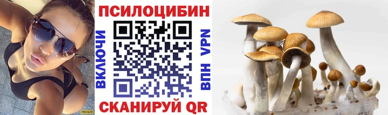 Галлюциногенные грибы ЛСД Кохма
